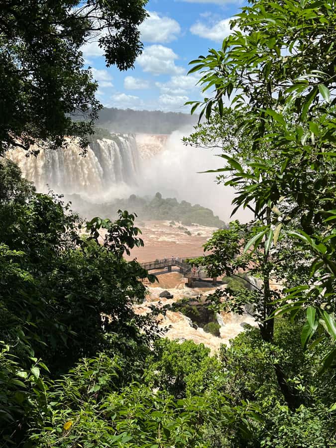 from Foz do Iguaçu: Private Tour on Argentinean Falls - Key points to know before you book
