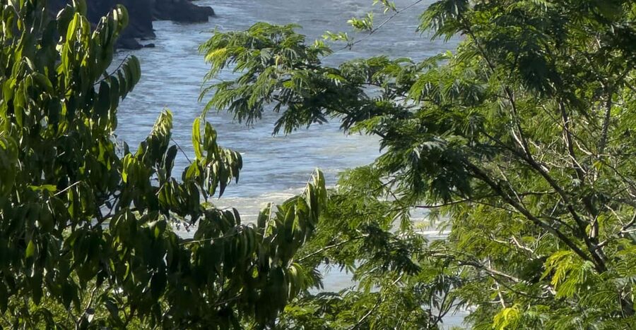 from Foz do Iguaçu: Private Tour on Argentinean Falls - The optional boat ride is the wettest choice