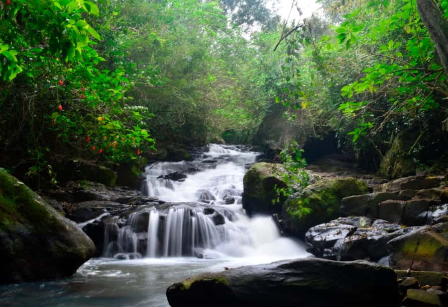 From Foz do Iguaçu: Secret Falls Adventure - Why these falls make a good change from the main park