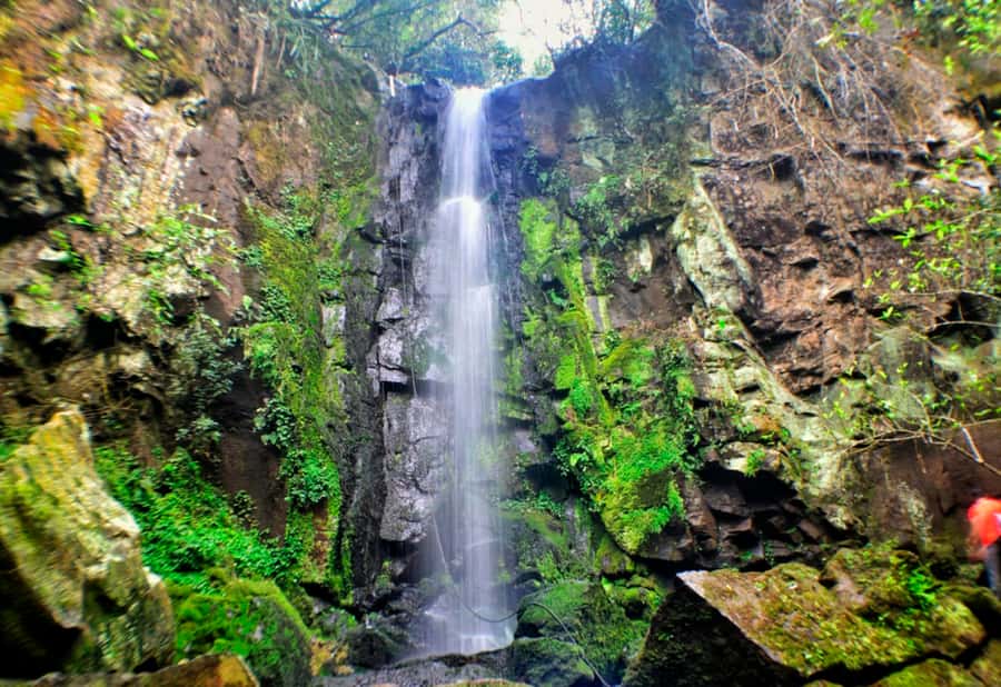 From Foz do Iguaçu: Secret Falls Adventure - Five waterfalls, five chances to slow down