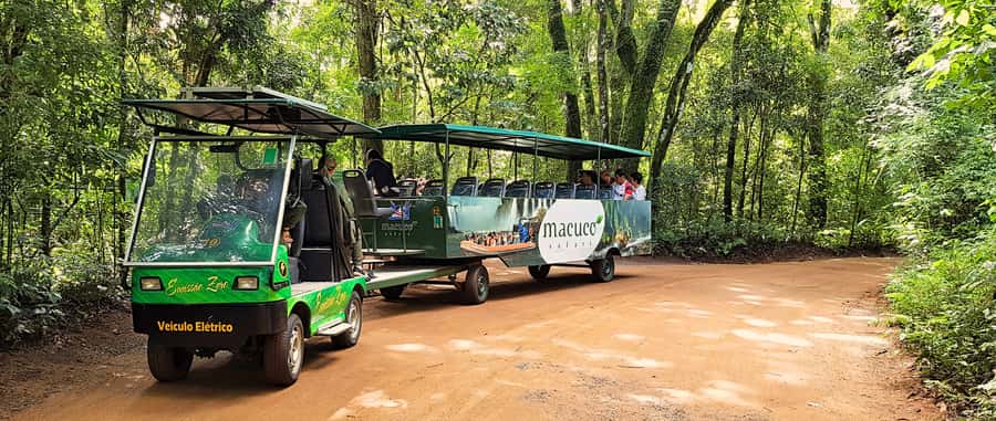 From Foz do Iguazu: Brazil Iguazu Falls & Macuco Safari Boat - The Devil’s Throat viewpoint and the wettest photographs