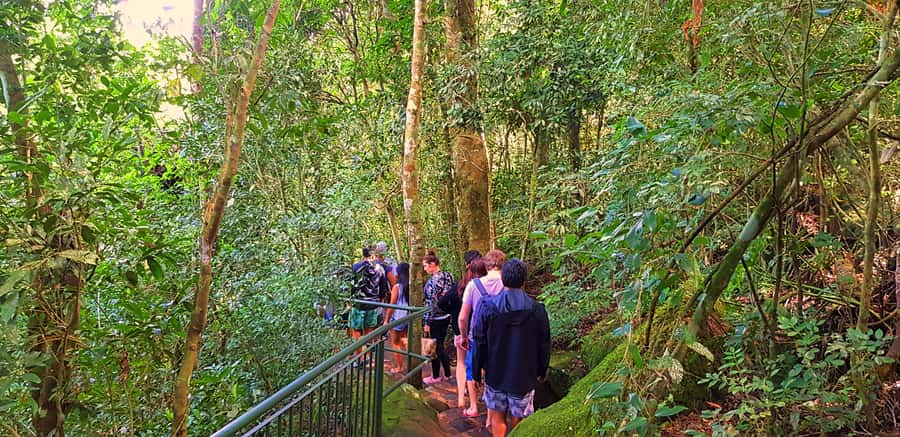 From Foz do Iguazu: Brazil Iguazu Falls & Macuco Safari Boat - The Macuco Safari boat ride at close range