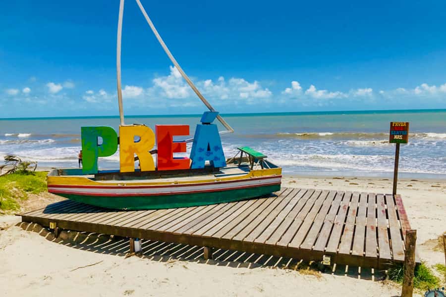 From Jericoacoara: Preá Beach and Paradise Lagoon Tour - The Tree of Laziness and the first coastal views