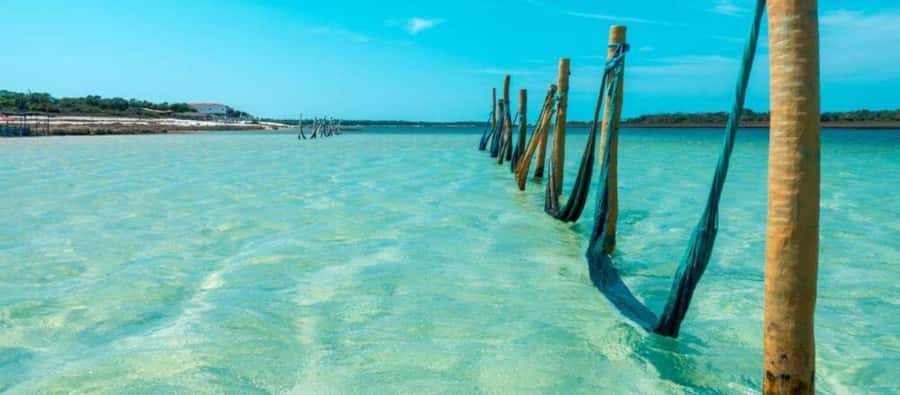 From Jericoacoara: Preá Beach and Paradise Lagoon Tour - How good is the $14 value?