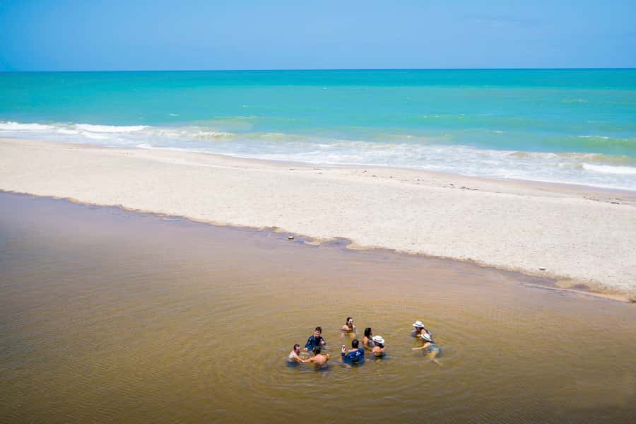From João Pessoa: Full-Day Southern Coast Beaches Tour - Why this southern-coast day trip works