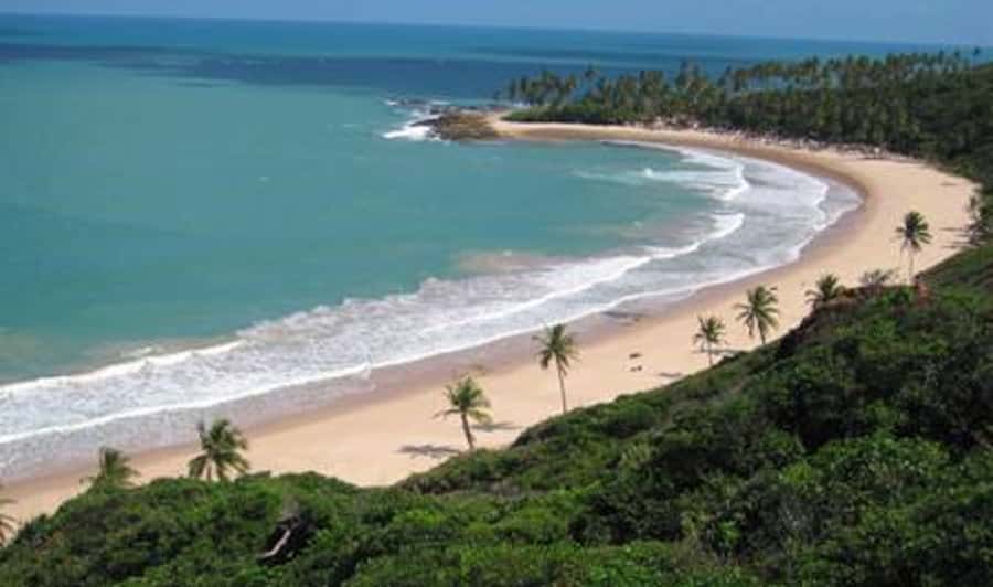 From João Pessoa: Full-Day Southern Coast Beaches Tour - The Penelope Charmosa ride is a fun extra