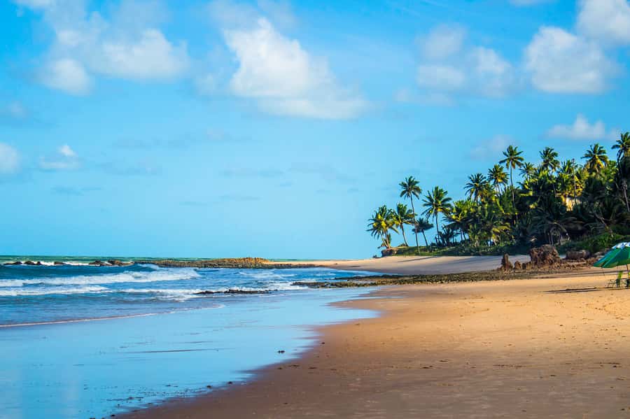 From João Pessoa: Full-Day Southern Coast Beaches Tour - Pickup from João Pessoa begins early