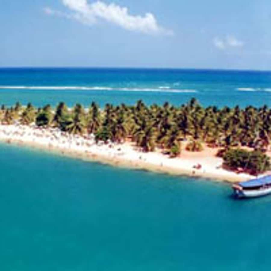 From Maceio: Gunga Beach & Full-Day Tour - Key points at a glance