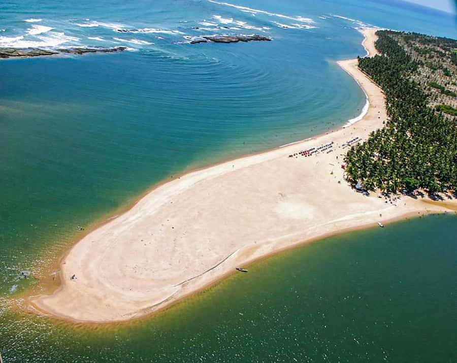 From Maceio: Gunga Beach & Full-Day Tour - What the $19 price really buys you