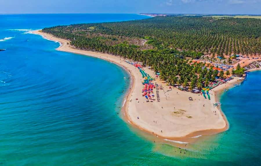 From Maceio: Gunga Beach & Full-Day Tour - Who will enjoy this Gunga Beach day