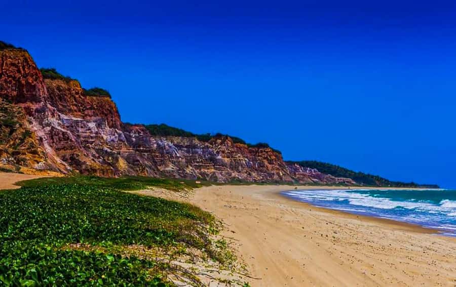 From Maceio: Gunga Beach & Full-Day Tour - Booking advice and cancellation flexibility