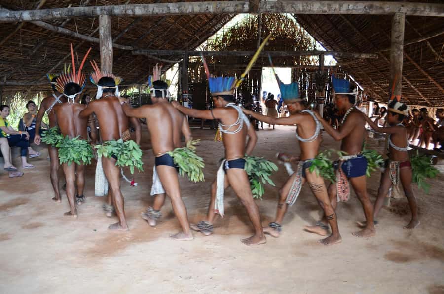From Manaus: 3 or 4-Day Rio Negro & Anavilhanas River Cruise - The four-day route: canoe wildlife and jungle skills