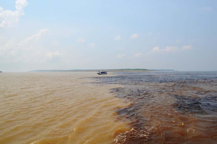 From Manaus: 3 or 4-Day Rio Negro & Anavilhanas River Cruise - Sleeping in a hammock changes the whole trip