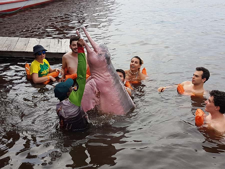 From Manaus: 3 or 4-Day Rio Negro & Anavilhanas River Cruise - Who will enjoy this Rio Negro trip most?