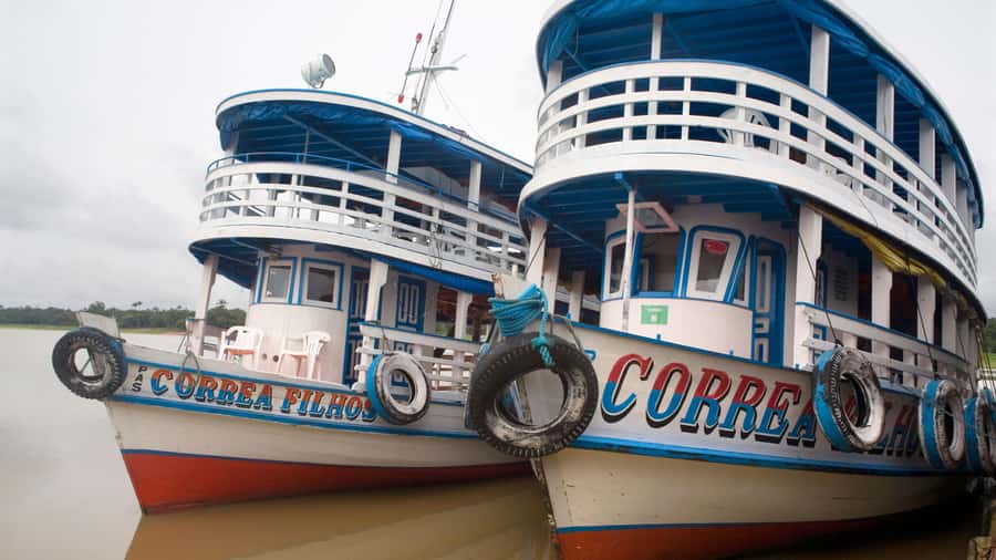 From Manaus: 3 or 4-Day Rio Negro & Anavilhanas River Cruise - Day one: Janauri trees, giant lilies, and dolphin water