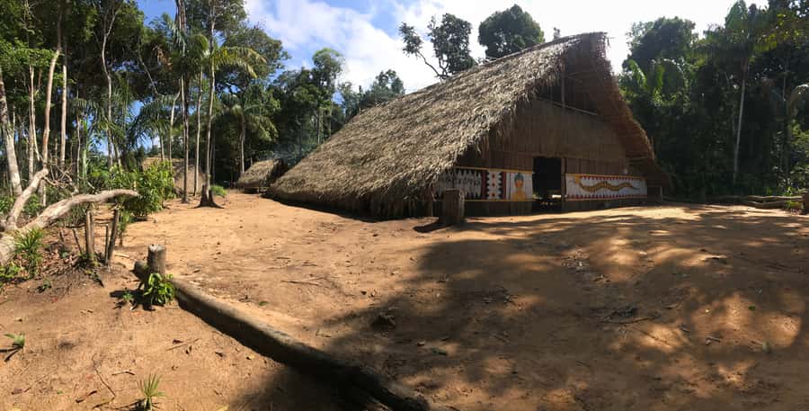 From Manaus: Negro River Half-Day Trip - Warm water and white sand at the river beach
