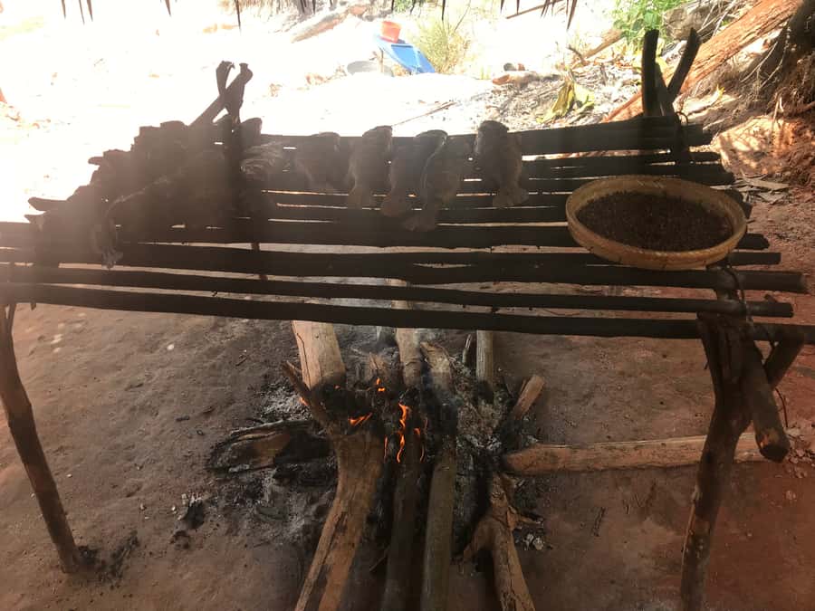 From Manaus: Negro River Half-Day Trip - How the $90 price holds up