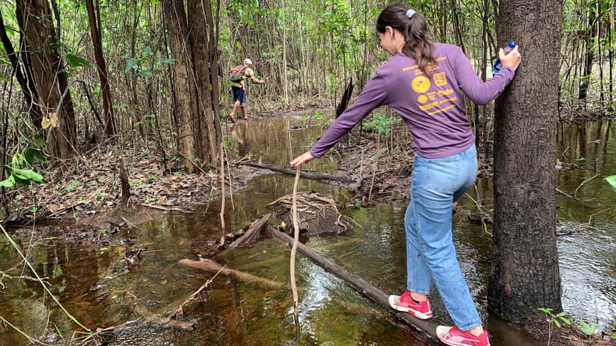 From Manaus: One-Day Amazon Jungle Experience - The Amazon in one long, well-filled day