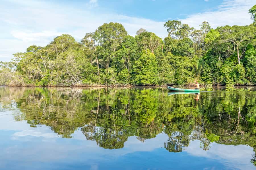 From Manaus: One-Day Amazon Jungle Experience - What the $100 price really covers