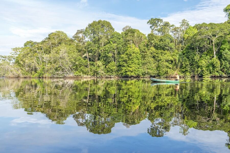From Manaus: One-Day Amazon Jungle Experience - Dry season, wet season, and what changes