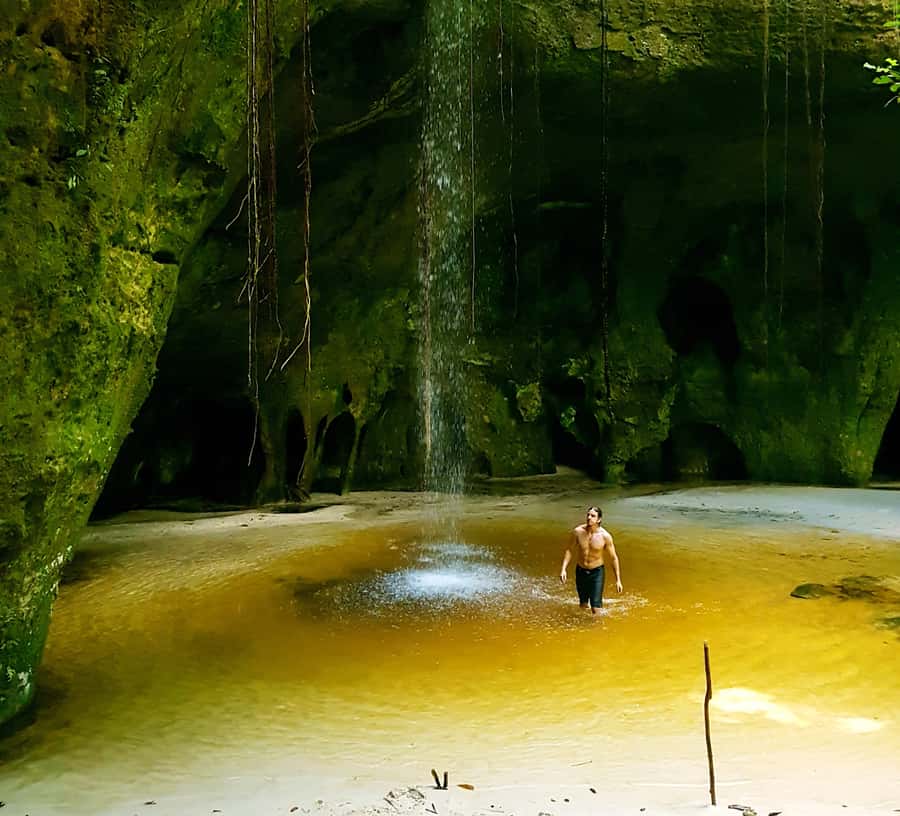 From Manaus: Presidente Figueiredo Waterfalls Daytrip - The Early Ride Into the Forest