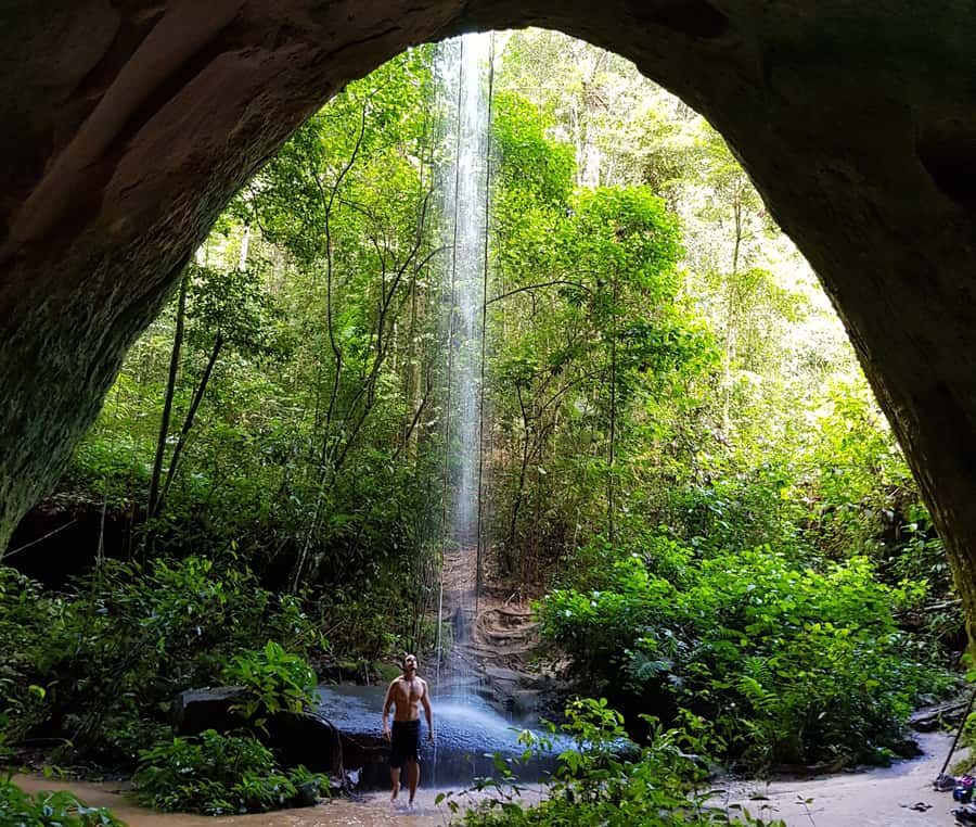 From Manaus: Presidente Figueiredo Waterfalls Daytrip - Walking Through the Amazon Forest
