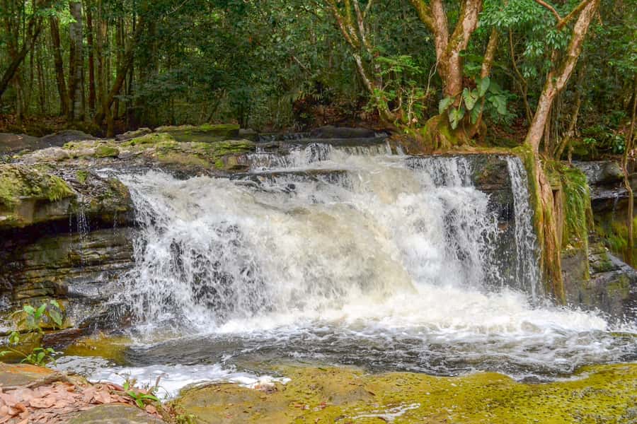 From Manaus: Presidente Figueiredo Waterfalls Daytrip - Should You Book the Presidente Figueiredo Day Trip?