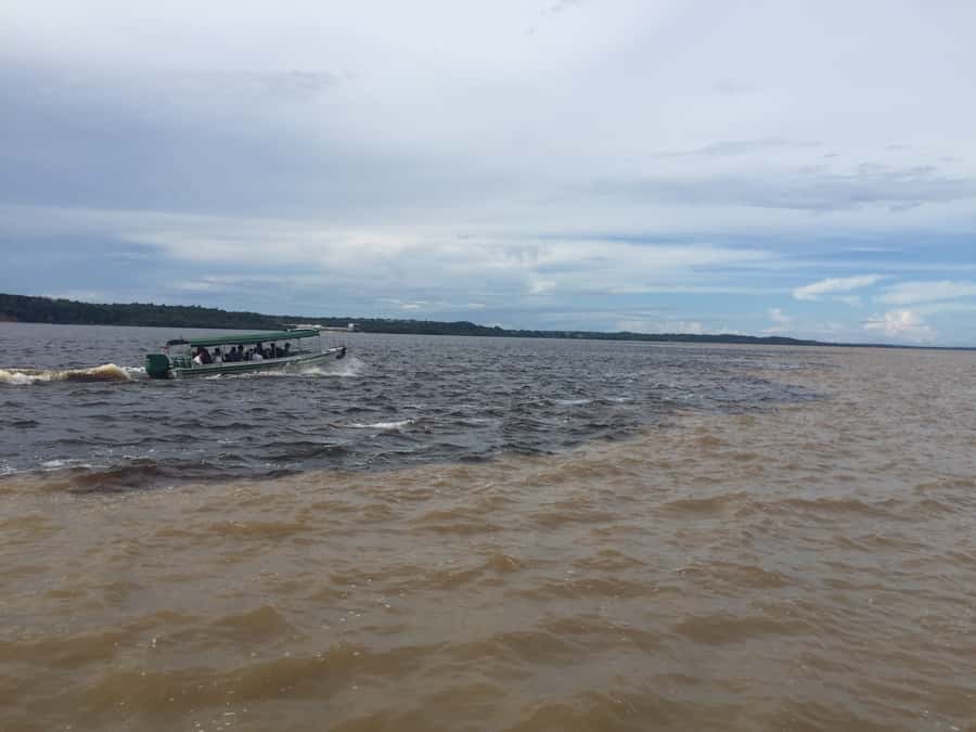 From Manuas: Full-Day River Tour - Water lilies and a flooded forest