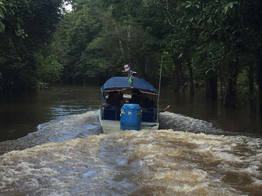 From Manuas: Full-Day River Tour - A floating village and giant pirarucu