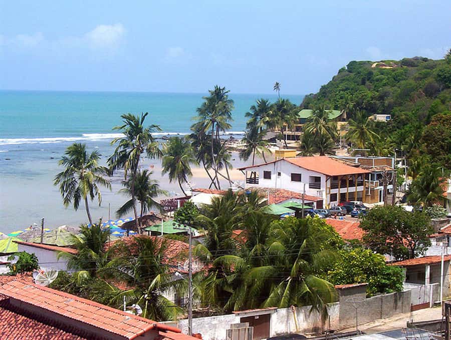From Natal: Pipa, Cacimbinhas, And Love Beach Full-Day Tour - The long morning road from Natal to Tibau do Sul