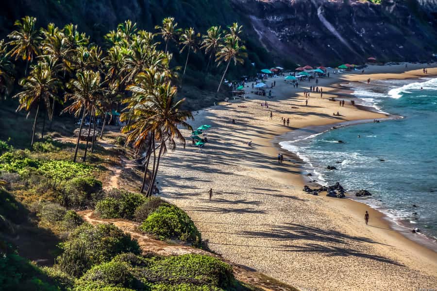 From Natal: Pipa, Cacimbinhas, And Love Beach Full-Day Tour - Madeiro Beach: the first proper swim