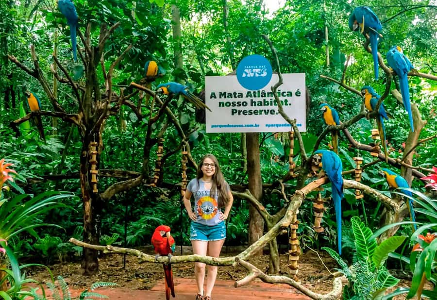 From Puerto Iguazú: Brazilian Bird Park Tour with Tickets - Is $133 a fair price?