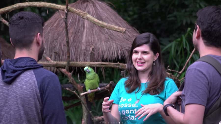 From Puerto Iguazú: Brazilian Bird Park Tour with Tickets - Practical limits and small comforts