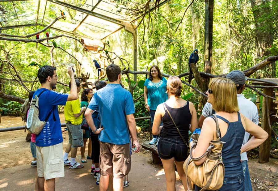 From Puerto Iguazú: Brazilian Bird Park Tour with Tickets - Who should book this bird park tour?