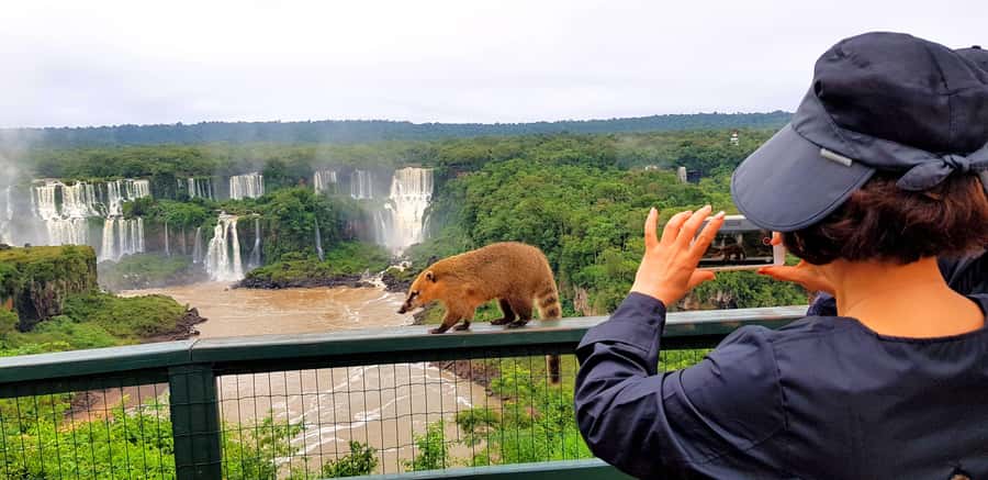 From Puerto Iguazu: Brazilian Falls with Boat Adventure - Starting in Puerto Iguazu and crossing into Brazil