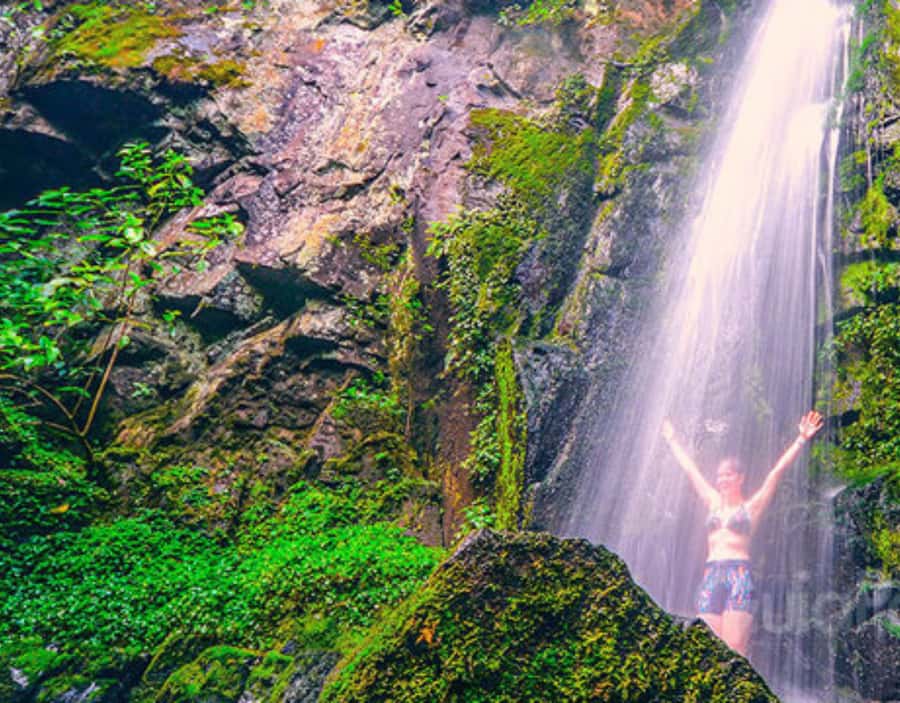 From Puerto Iguazu: Secret Falls Adventure - Key details at a glance