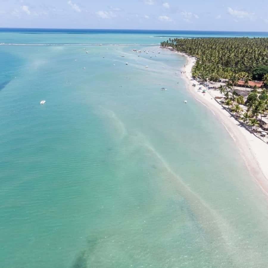 From Recife : Carneiros Beach - Why Carneiros makes a strong day trip from Recife