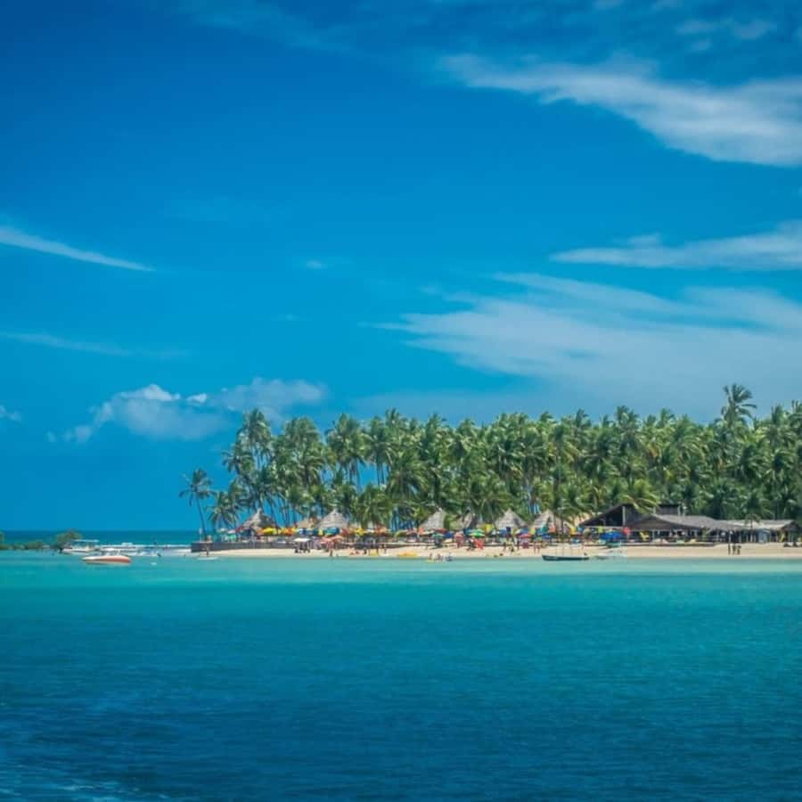 From Recife : Carneiros Beach - Arriving at the seaside support point