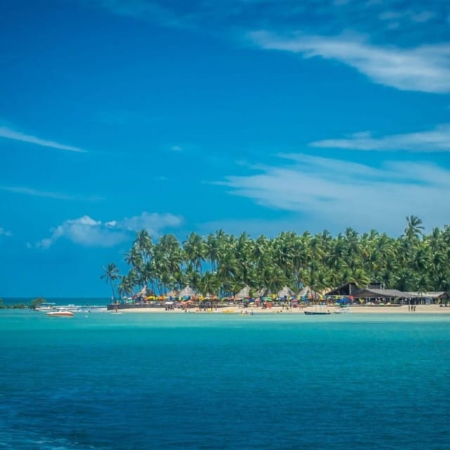From Recife : Carneiros Beach - The optional catamaran ride