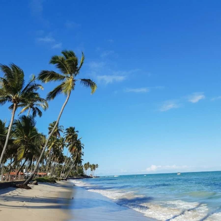 From Recife : Carneiros Beach - Leaving Recife with hotel pickup