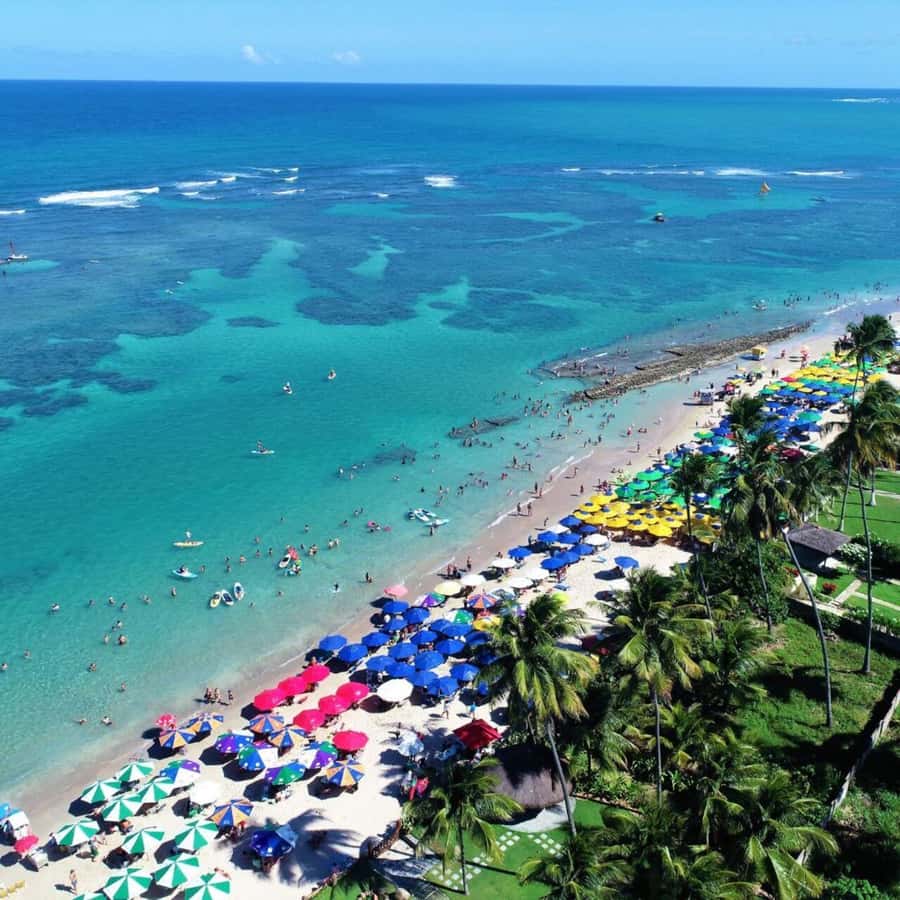 From Recife : Tour for Porto de Galinhas - Why Porto de Galinhas makes a good day from Recife