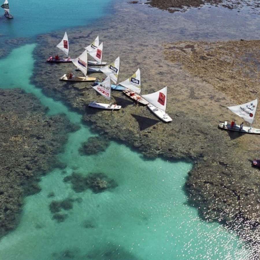 From Recife : Tour for Porto de Galinhas - Free time on the beach