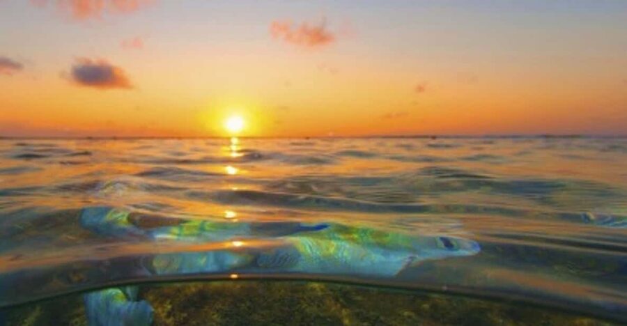 From Recife : Tour for Porto de Galinhas - Guide language and communication