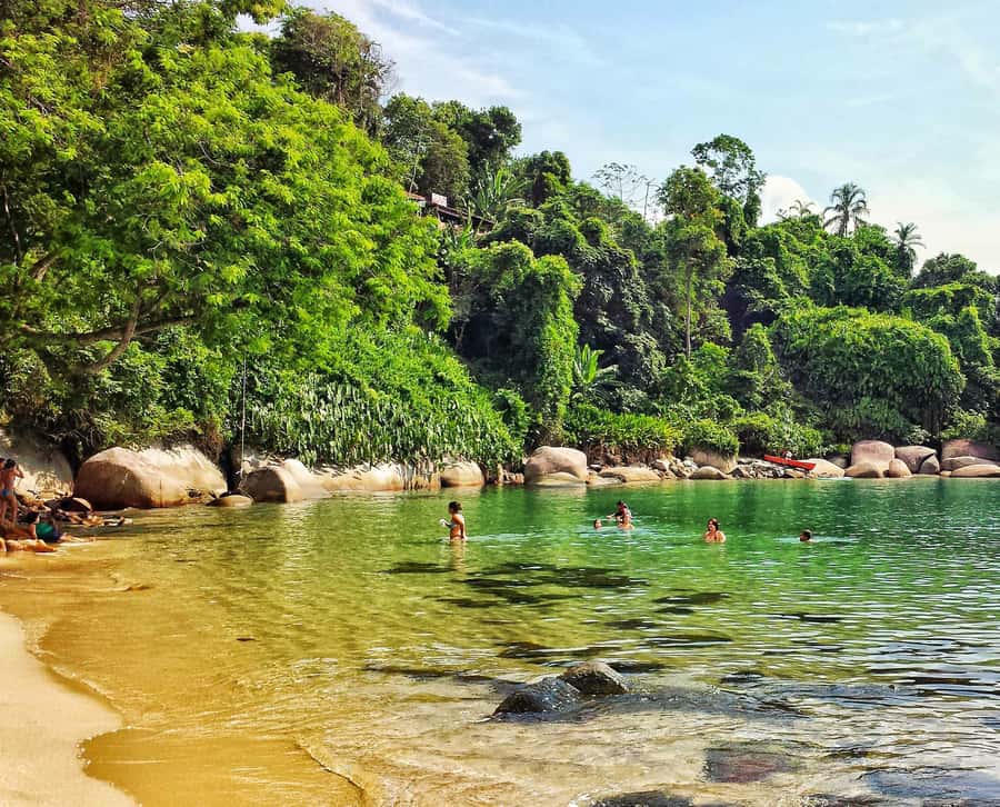 From Rio de Janeiro: Angra dos Reis Boat Trip with Lunch - The early Rio pickup sets the tone