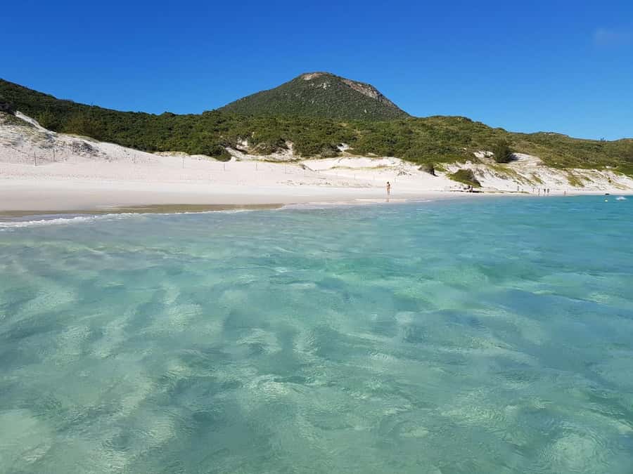 From Rio de Janeiro: Arraial do Cabo Island Day Trip - Key points at a glance