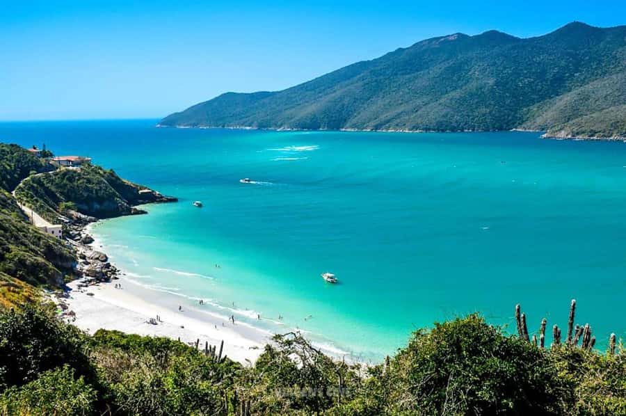 From Rio de Janeiro: Arraial do Cabo Island Day Trip - Ilha do Farol and the boat’s best views