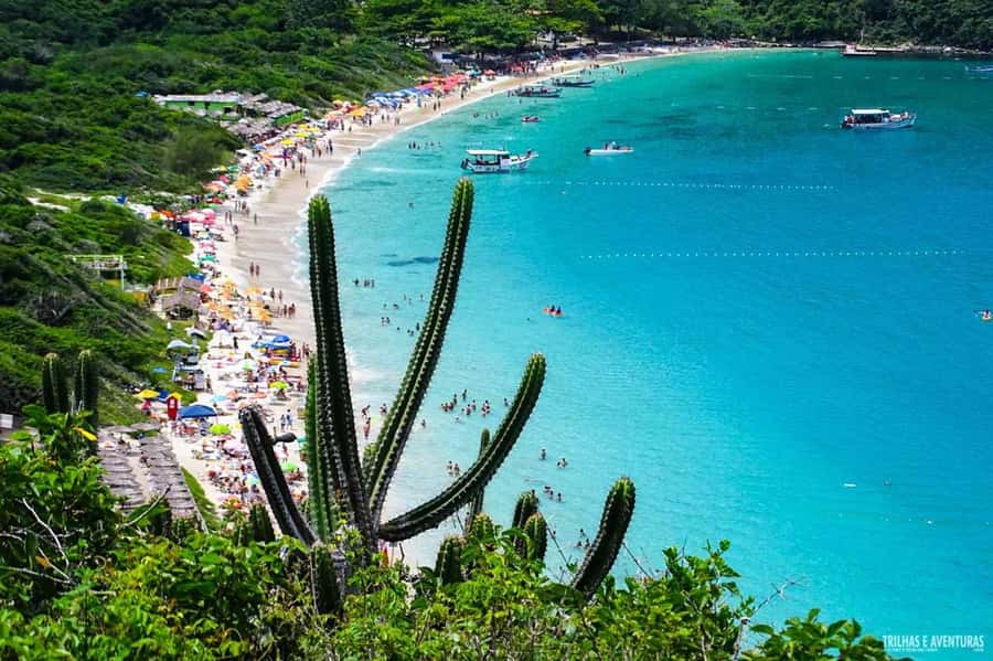 From Rio de Janeiro: Arraial do Cabo Island Day Trip - Lunch and the real value of $67