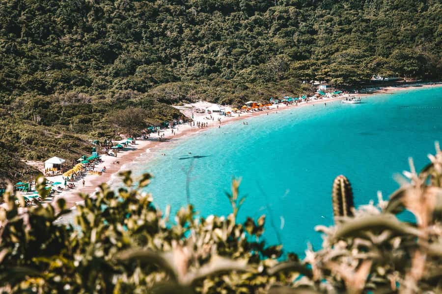 From Rio de Janeiro: Arraial do Cabo Island Day Trip - Guides who keep a complicated day together