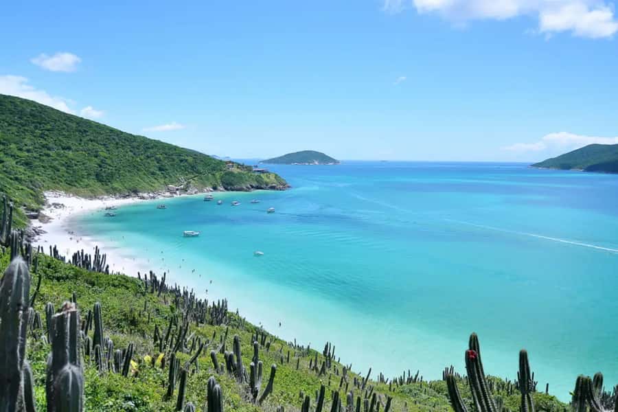 From Rio de Janeiro: Arraial do Cabo Island Day Trip - From Copacabana to the coast
