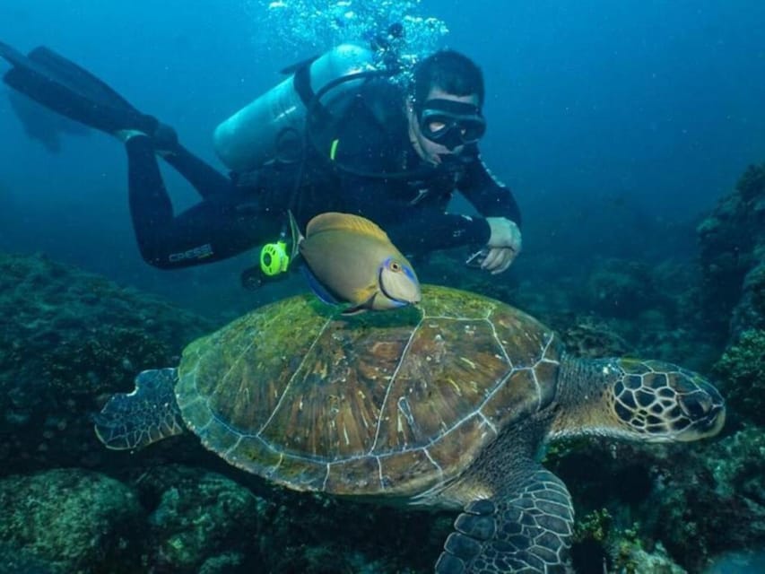 from Rio de Janeiro: Diving in Buzios - What the $150 price covers